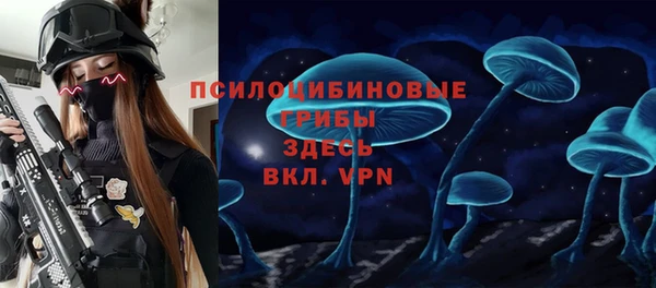 спайс Алексеевка