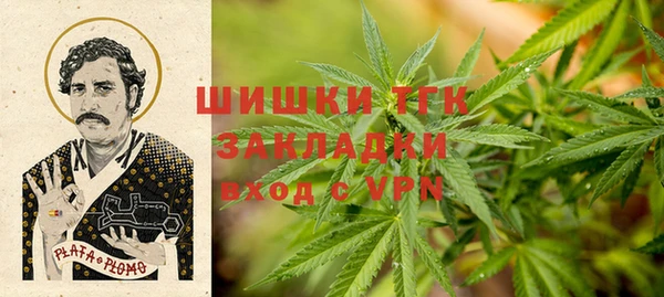 прущие грибы Алексин