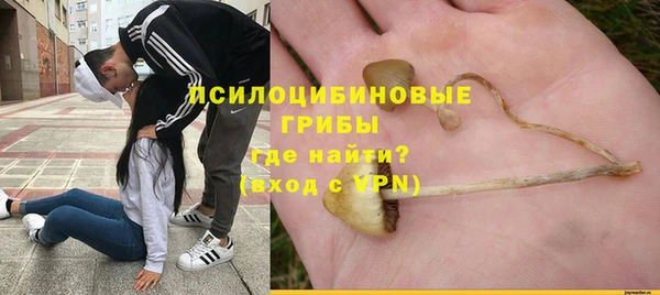 прущие грибы Алексин